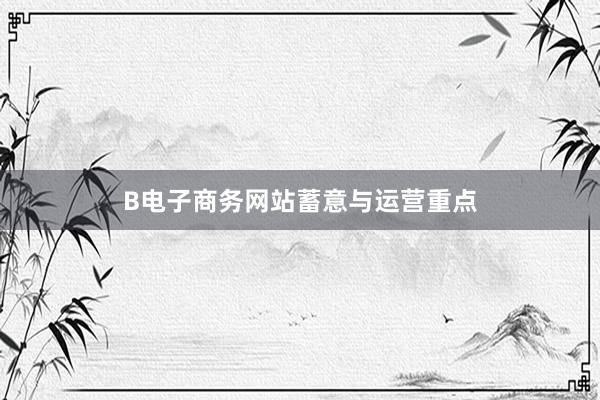 B电子商务网站蓄意与运营重点
