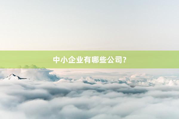 中小企业有哪些公司？