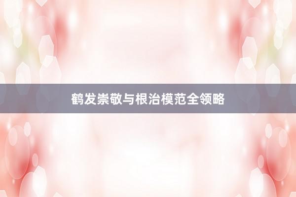 鹤发崇敬与根治模范全领略